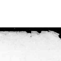 Image Tile