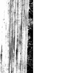 Image Tile