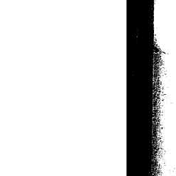 Image Tile