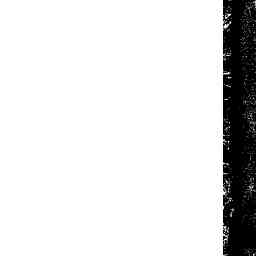 Image Tile