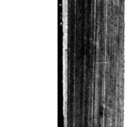 Image Tile