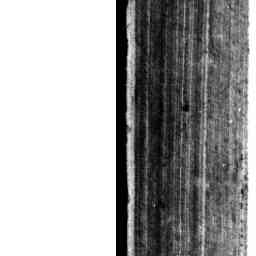 Image Tile