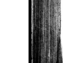 Image Tile