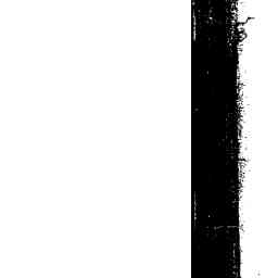 Image Tile