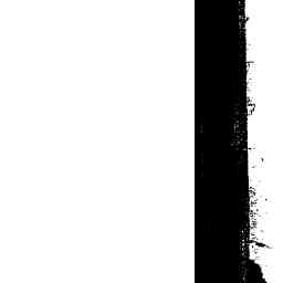 Image Tile