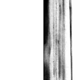 Image Tile