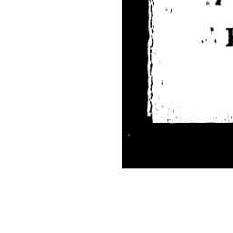 Image Tile