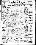Page overview thumbnail