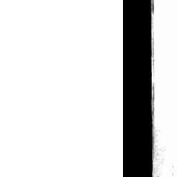 Image Tile