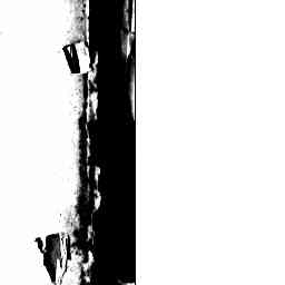 Image Tile