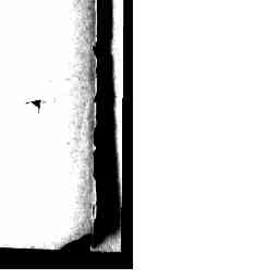 Image Tile