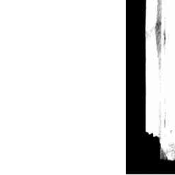 Image Tile