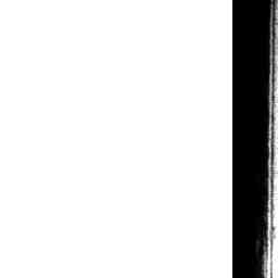 Image Tile
