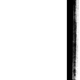 Image Tile