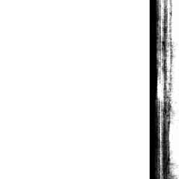Image Tile