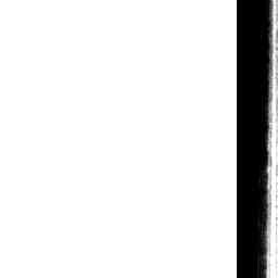 Image Tile