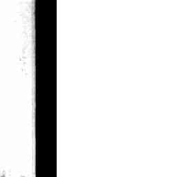 Image Tile