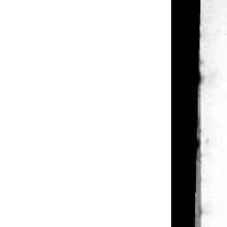Image Tile