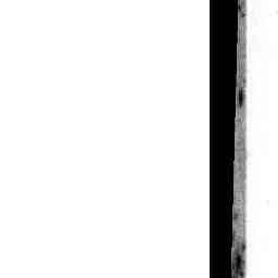 Image Tile