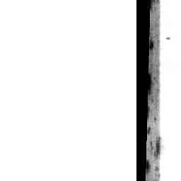 Image Tile