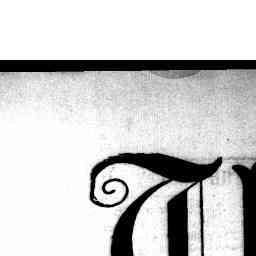 Image Tile