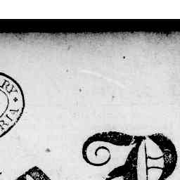 Image Tile