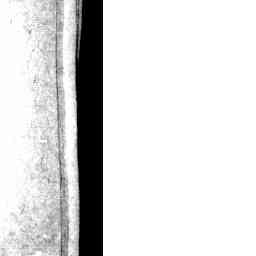 Image Tile