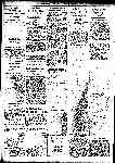 Page overview thumbnail