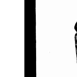 Image Tile