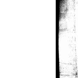Image Tile