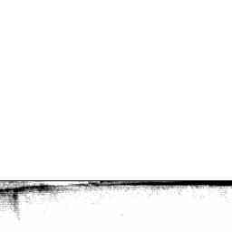 Image Tile