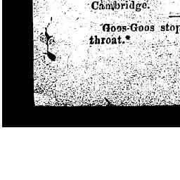 Image Tile