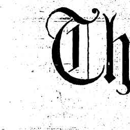 Image Tile
