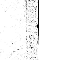 Image Tile