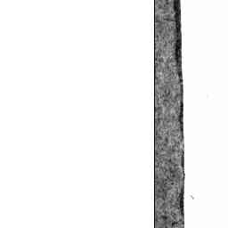 Image Tile