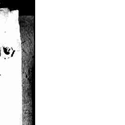Image Tile