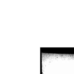 Image Tile