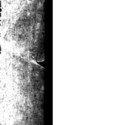 Image Tile