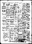 Page overview thumbnail