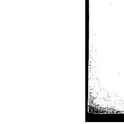 Image Tile