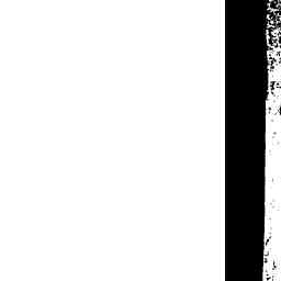 Image Tile