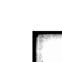 Image Tile