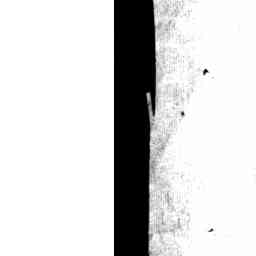 Image Tile