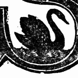Image Tile