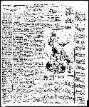 Page overview thumbnail