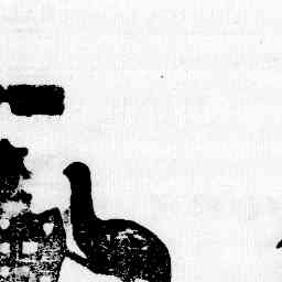 Image Tile