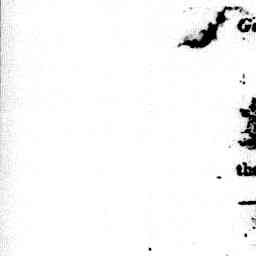 Image Tile