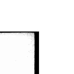 Image Tile