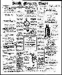 Page overview thumbnail