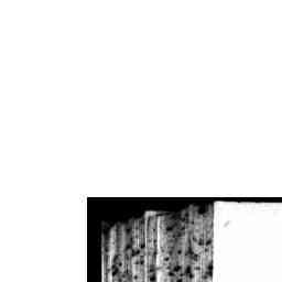Image Tile